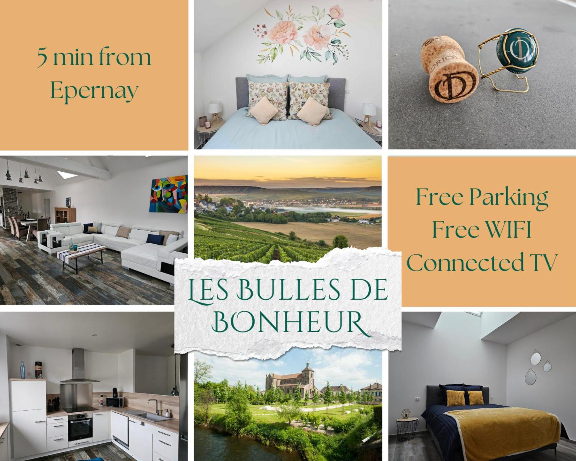 Les Bulles De Bonheur - Au Coeur Du Vignoble Champenois Διαμέρισμα Chouilly Εξωτερικό φωτογραφία